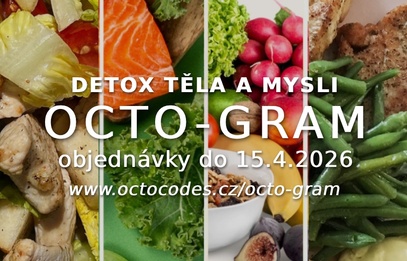 Táňa Havlíčková OCTO-GRAM - detox těla a mysli