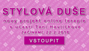 Stylová duše fashion projekt