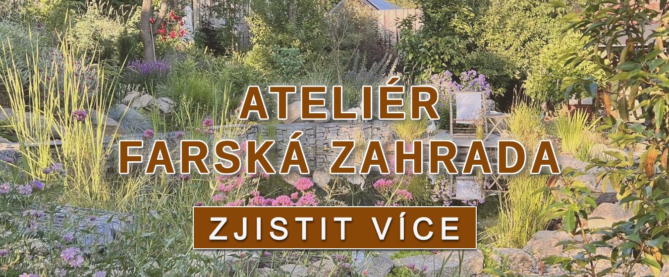Táňa Havlíčková - Ateliér Farská zahrada